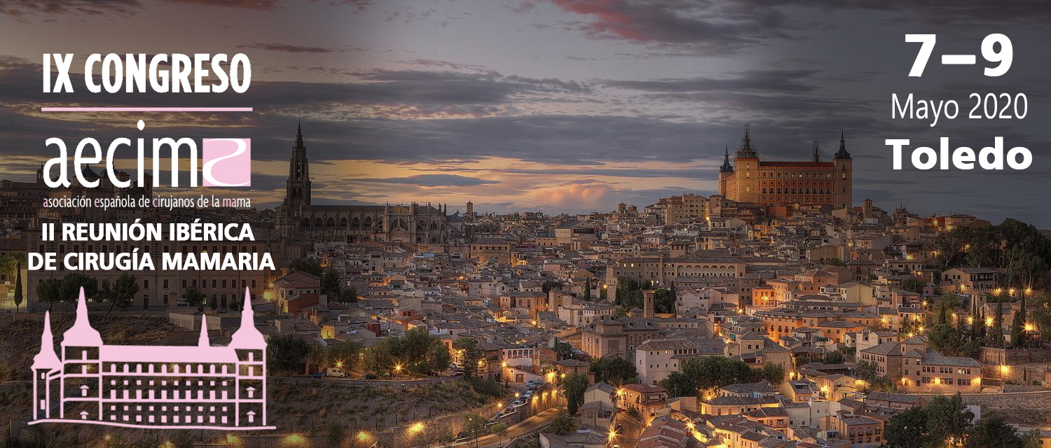 IX Congreso Aecima - Toledo
